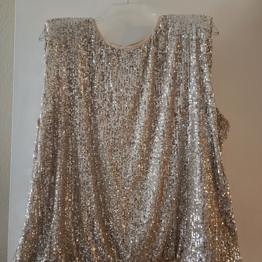 Maurices Silver Sequin Sleeveless Top